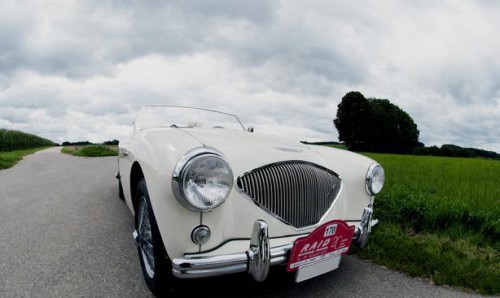Austin Healey 100M