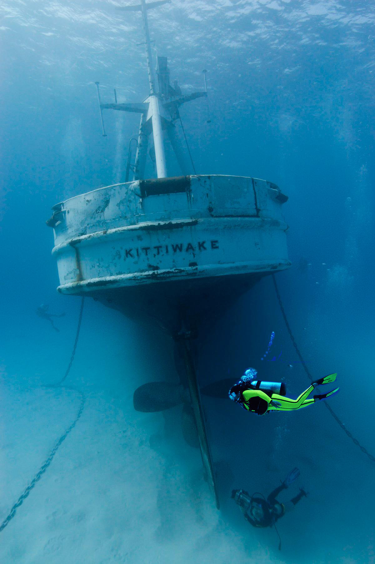 Oris Kittiwake Limited Edition diver