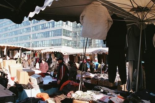 Puce de Montreuil