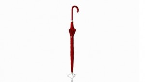 Hiranao Tsuboi umbrella
