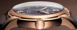 Fossil Swiss line crown