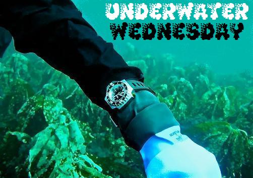 Underwater Wednesday: OMEGA Seamaster Professional
