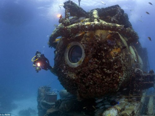Underwater Wednesday: DOXA to set submersion world record in Florida